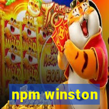 npm winston